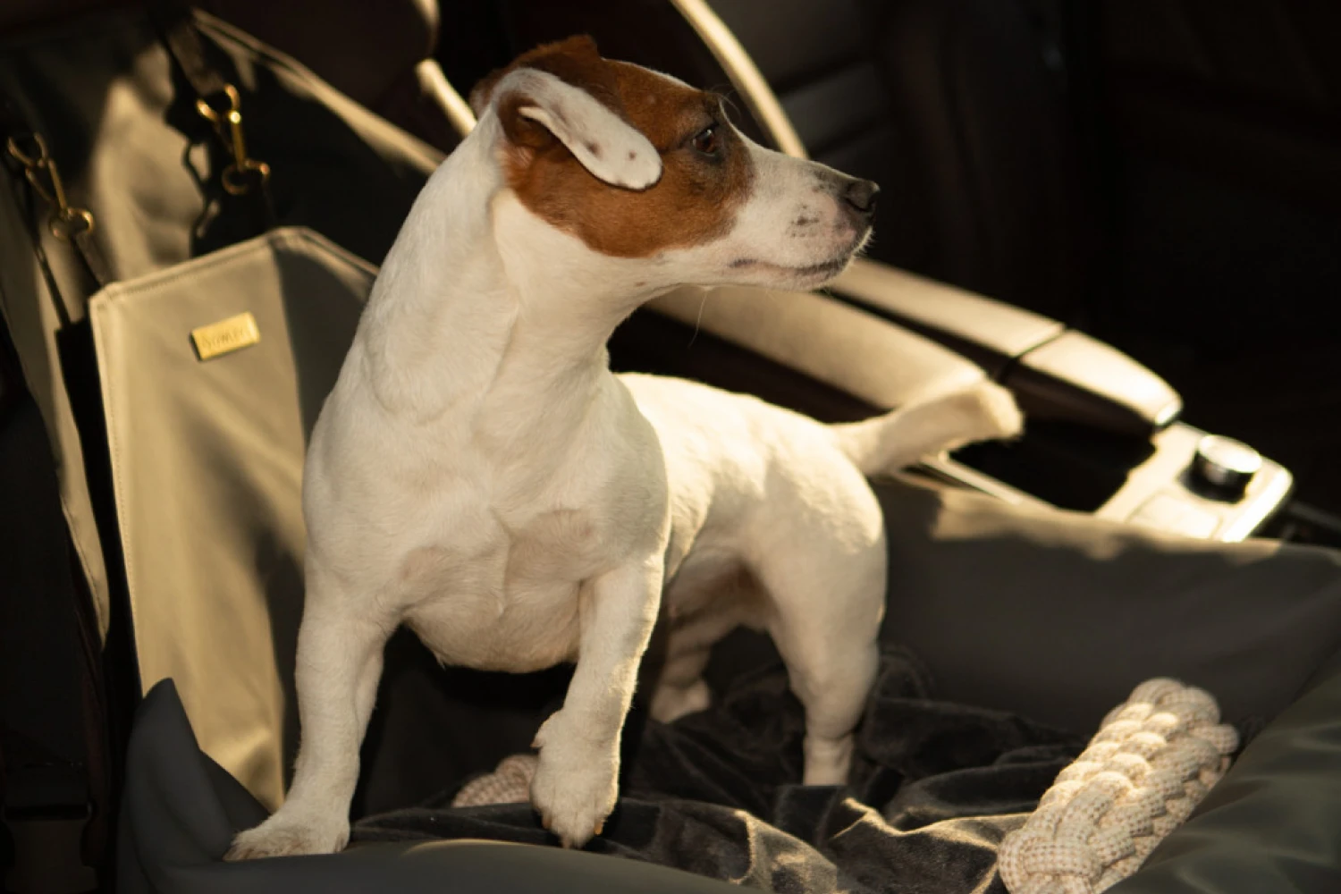 Boston Terriers Dog Car Seat for Jeep Compass